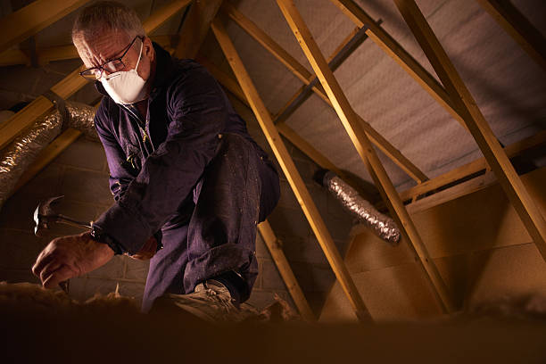 Best Affordable Insulation Services  in Lexington, SC